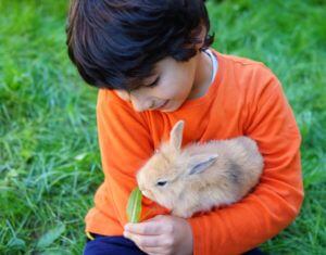 Little boy with rabbit